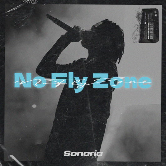 NO FLY ZONE SAMPLE KIT